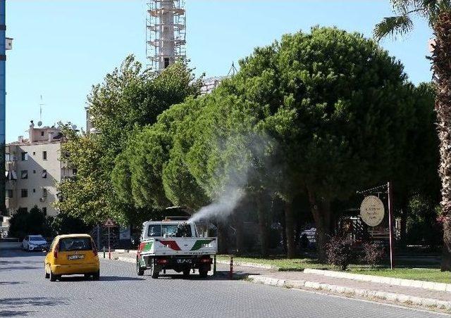 Karşıyaka’da Haşere Ve Sineklere Karşı İlaçlama Sürüyor