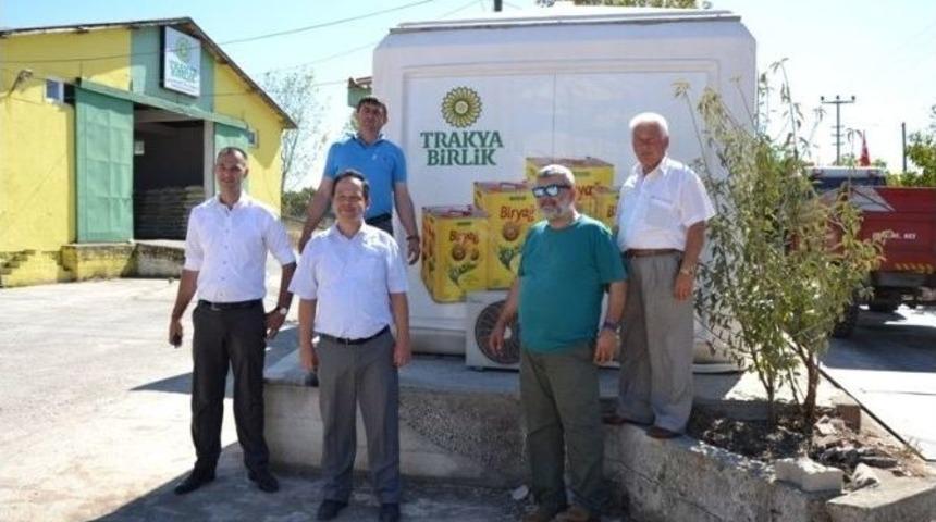 Yağlı Tohumlar Alımlara Başladı