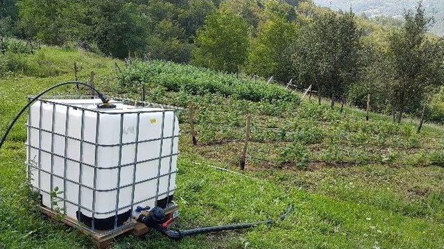 Tika Bosna Hersek’te Tarım Projelerini Desteklemeye Devam Ediyor