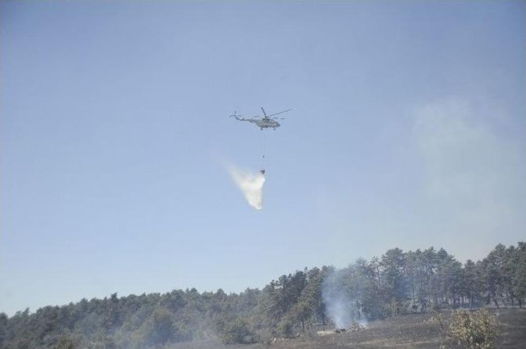 &Ccedil;anakkale&rsquo;deki Orman Yangını Kontrol Altına Alındı