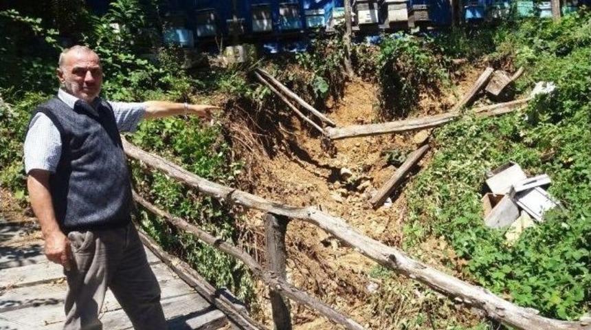 Cide&rsquo;de Sel, Fındık &Uuml;reticilerini Ve Arı Yetiştiricilerini Olumsuz Etkiledi