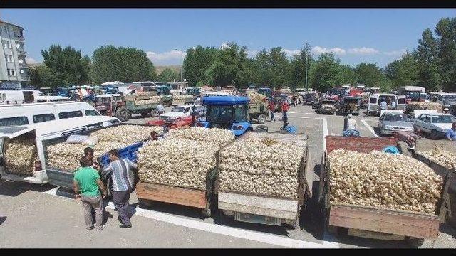 Başkan Arslan, Sarımsak Pazarını Ziyaret Etti