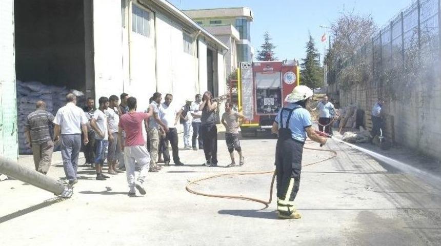 Tekirdağ&rsquo;da Korkutan Yangın