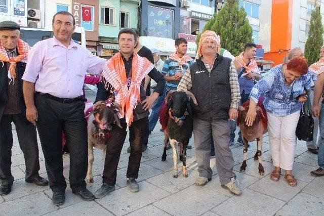 Şehrin Ortasında Koçlu Ve Kangallı Yürüyüş