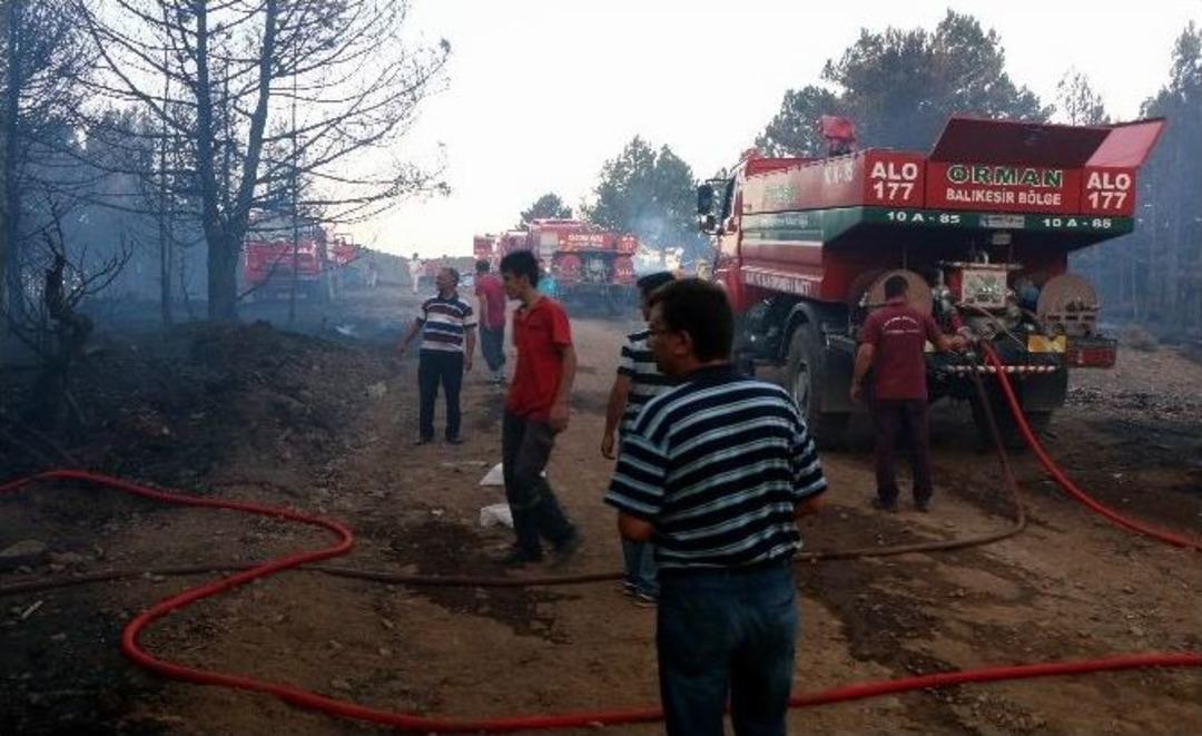 Balıkesir&rsquo;de Orman Yangını