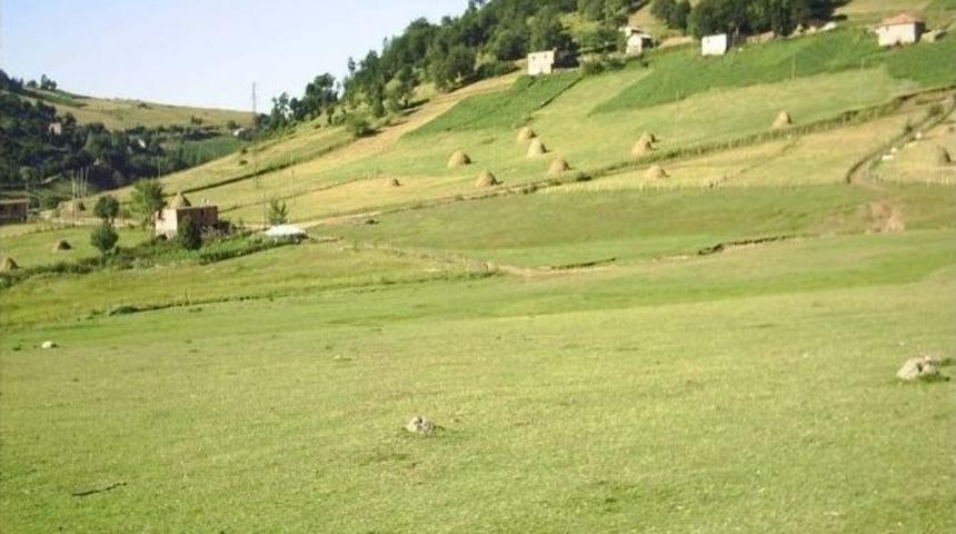 Ordu&rsquo;da &Ccedil;atışma