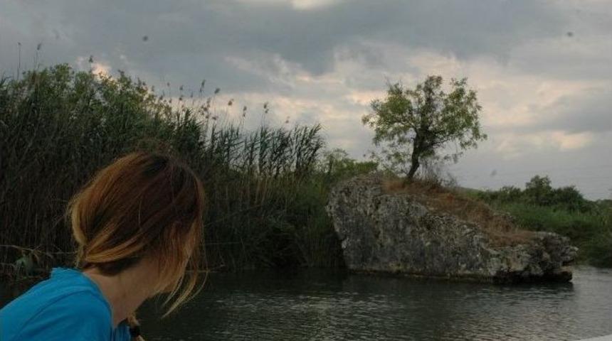 Tarihi K&ouml;pr&uuml;n&uuml;n Bek&ccedil;i Menengi&ccedil; Ağacı