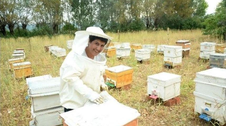 Ovacık&rsquo;ın Tek Kadın Arıcısı