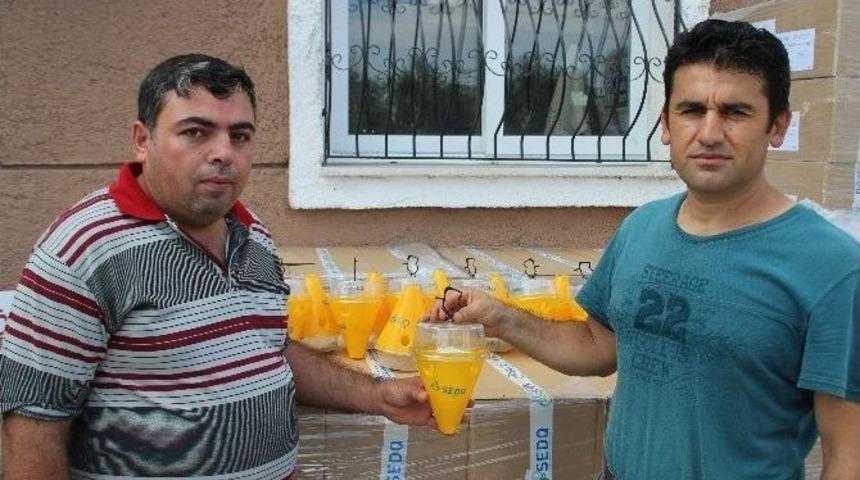 &Uuml;reticiye Akdeniz Meyve Sineği Tuzağı Dağıtılıyor