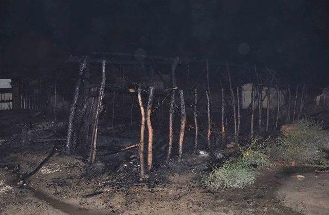 Manavgat&rsquo;ta Ağıl Yangını 1