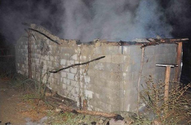 Manavgat&rsquo;ta Ağıl Yangını 2