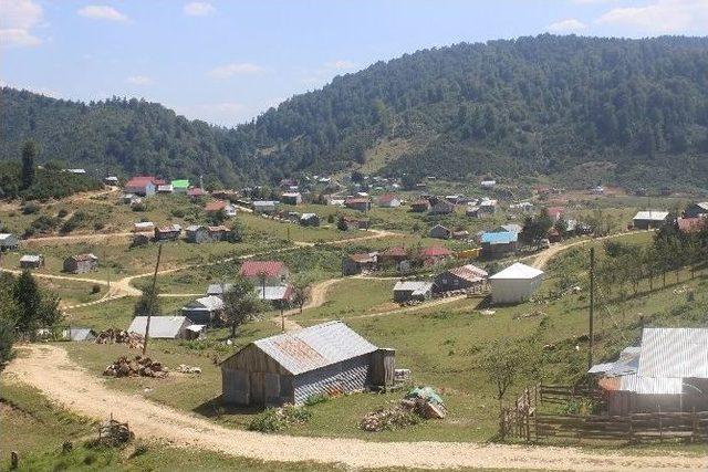 Adil Öksüz İçin Yaylaya Geçici Karakol Kuruldu