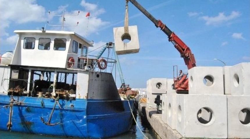 Yalova Su &Uuml;r&uuml;nleri Balık&ccedil;ılar Kooperatifi Başkanı Erdal Tokalak:
