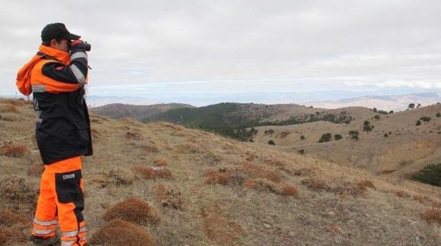 Bayat&rsquo;ta Kaybolan Şahıs Heryerde Aranıyor