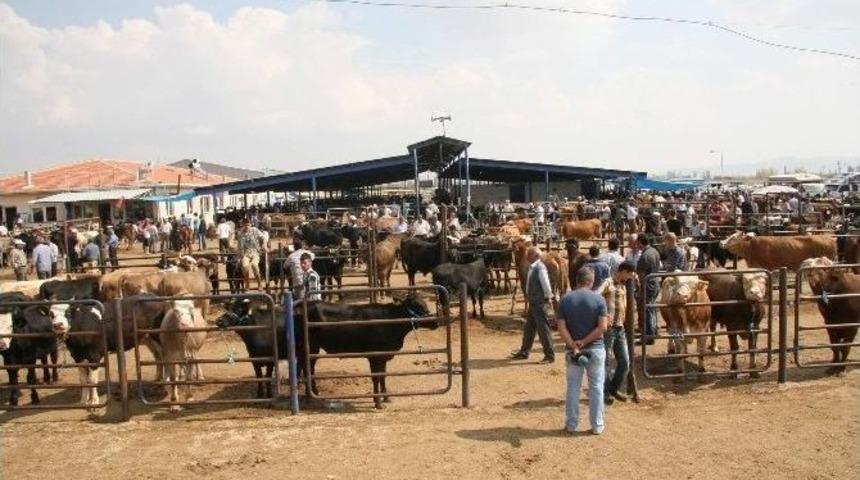 Kurban Bayramı &Ouml;nce Fiyat Spek&uuml;lat&ouml;rlerine Dikkat