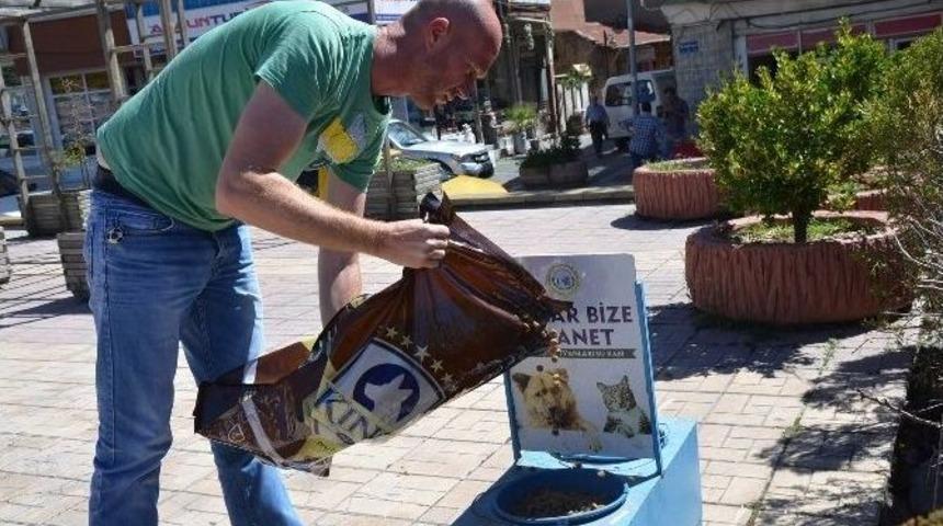 Boz&uuml;y&uuml;k Belediyesi Sokak Hayvanlarını Unutmuyor