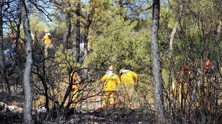 Bodrum&rsquo;da &Ccedil;ıkan Orman Yangını Kısa S&uuml;rede S&ouml;nd&uuml;r&uuml;ld&uuml;