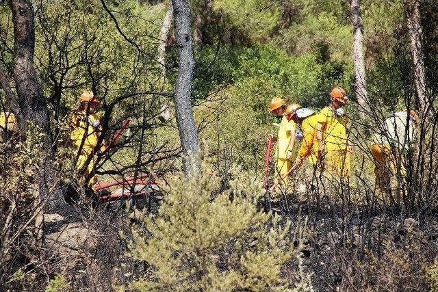 Bodrum’da Çıkan Orman Yangını Kısa Sürede Söndürüldü