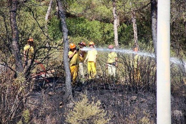 Bodrum’da Çıkan Orman Yangını Kısa Sürede Söndürüldü