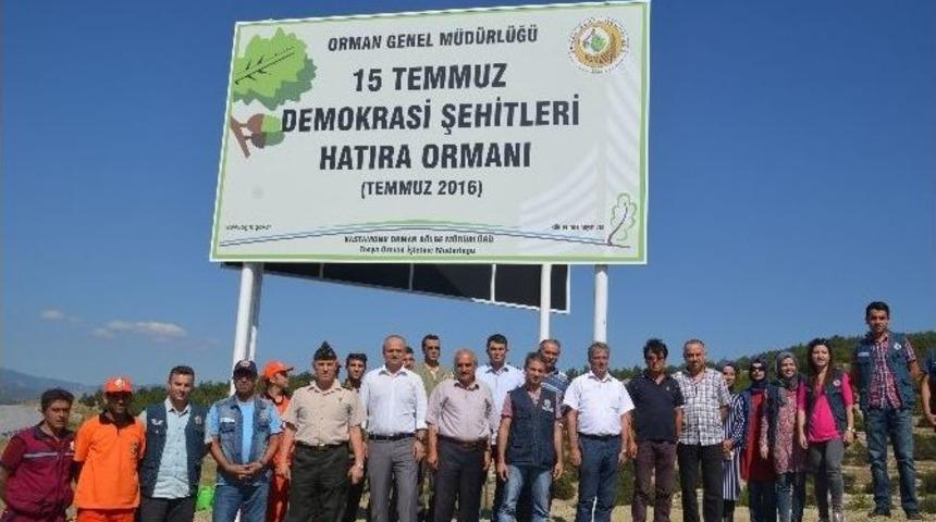 Tosya&rsquo;da &ldquo;15 Temmuz Demokrasi Şehitleri Hatıra Ormanı&rdquo; Kuruldu