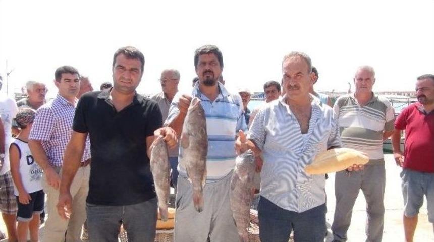 Mersin&rsquo;de Lagos Balığının Avlanma Yasağına Tepki