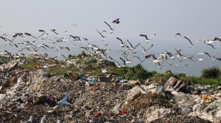 Ordu &Ccedil;&ouml;pten Para Kazanacak