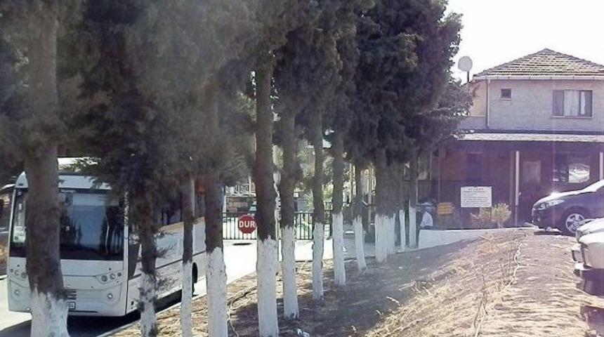 Fo&ccedil;a A&ccedil;ık Ceza İnfaz Kurumu&rsquo;ndan Tahliyeler S&uuml;r&uuml;yor