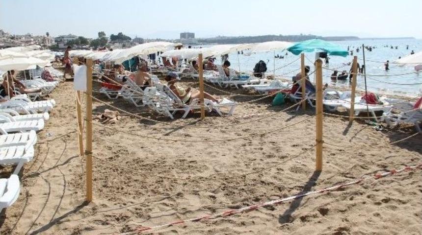 Dünyaca Ünlü Plajda Caretta Önlemi