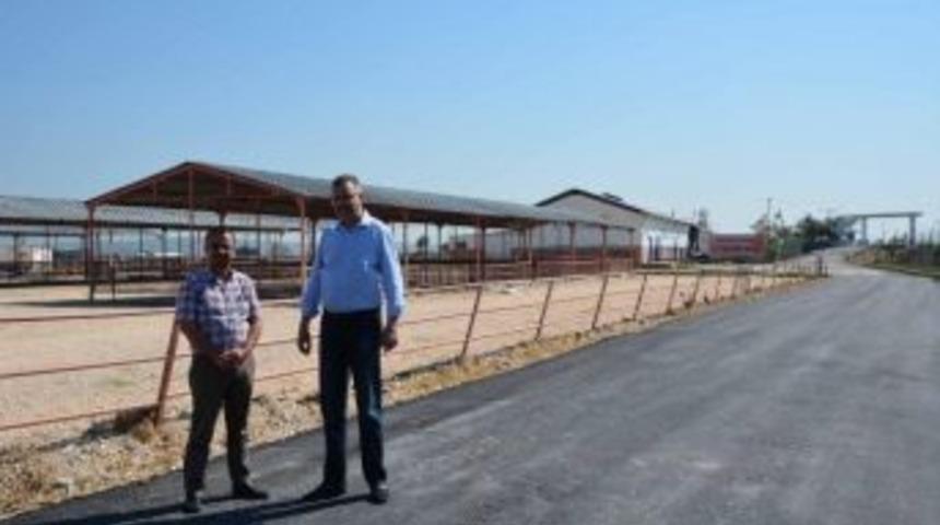 Karacabey&rsquo;de Kurban Hazırlıkları