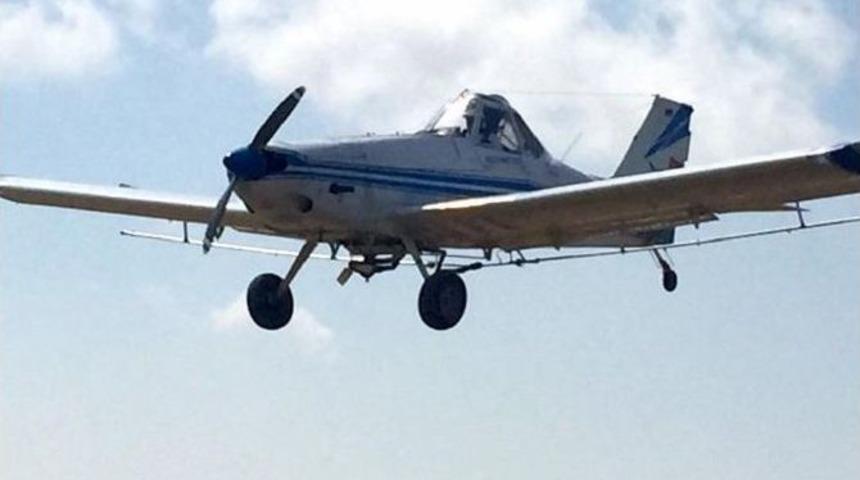 Zeytin Zararlılarıyla Havadan M&uuml;cadele Başladı