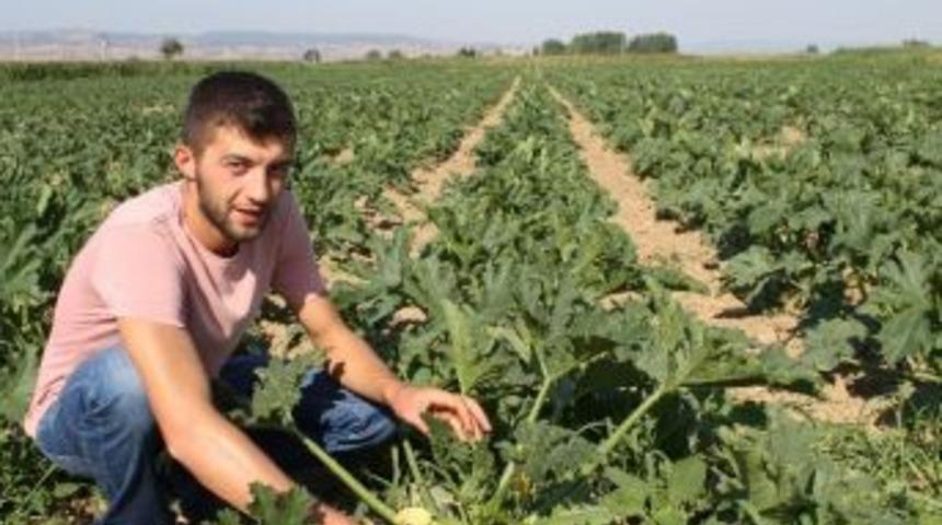 Yenişehir&rsquo;den Avrupa&rsquo;ya Kabak Re&ccedil;eli