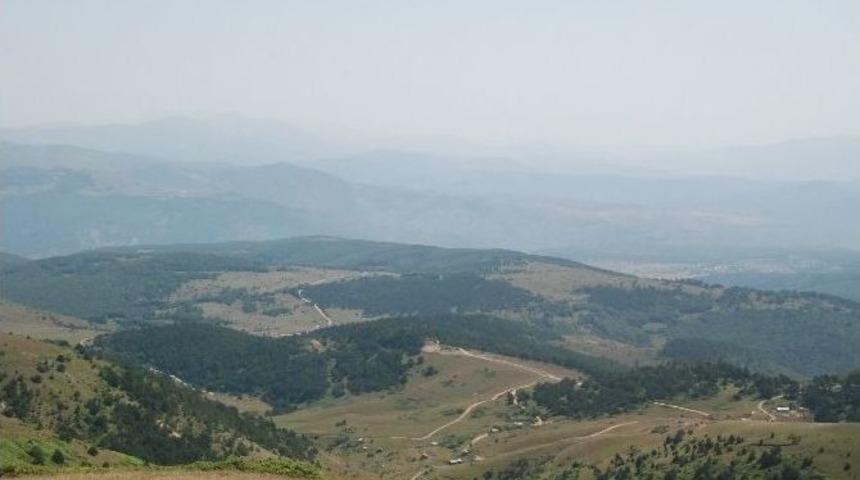 Ordu&rsquo;da &Ccedil;atışma: 1 Ter&ouml;rist &Ouml;ld&uuml;r&uuml;ld&uuml;