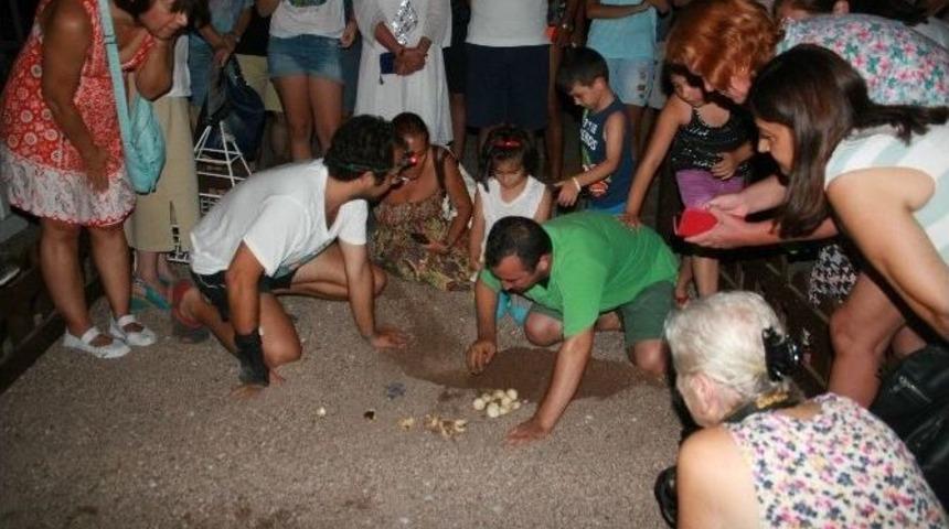 Marmaris&rsquo;te Caretta N&ouml;beti Sona Erdi