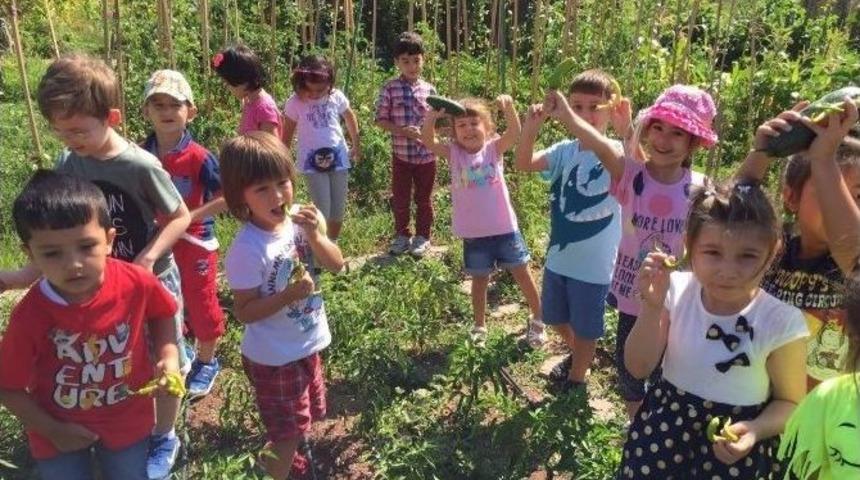 Minikler Toprakla Tanıştı