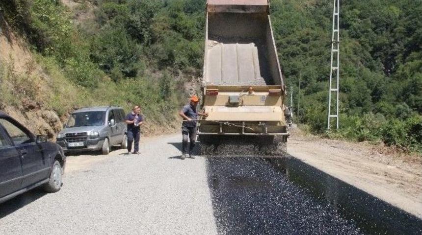 Bozkurt&rsquo;ta 24 Kilometre K&ouml;y Yolu Asfalt Kaplandı