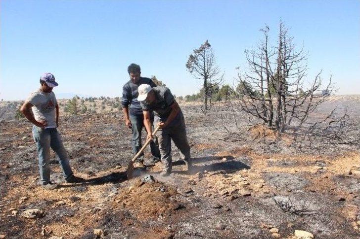 Karaman’da 15 Hektarlık Orman Kül Oldu G1