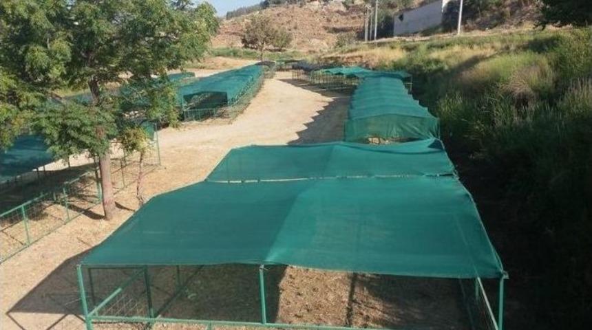 Anamur&rsquo;da Kurban Satış Pazarı Hazır