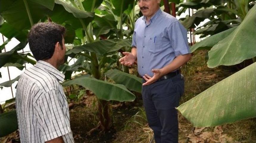 Ork&ouml;y&rsquo;den &Uuml;retime Ve &Uuml;reticiye Destek