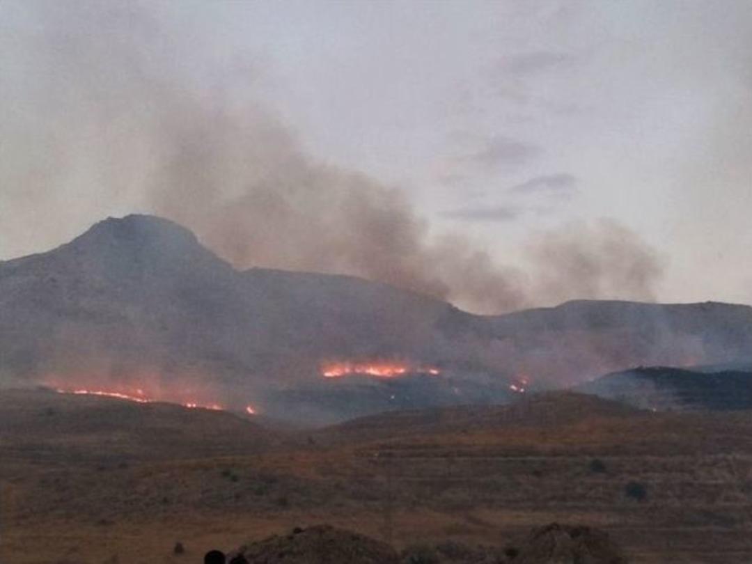 Adilcevaz&rsquo;da Ormanlık Alanda Yangın &Ccedil;ıktı