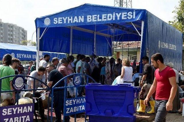 Seyhan Belediyesi, Kurbanları Ücretsiz Kesecek