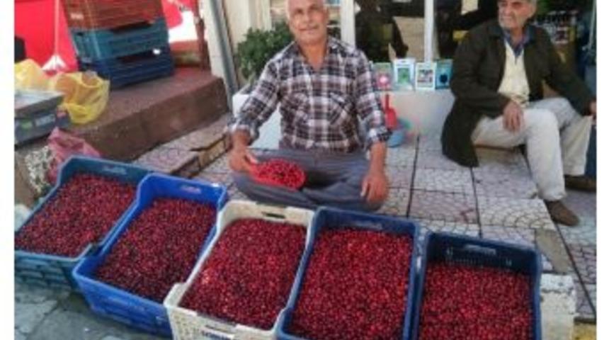 Y&uuml;ksek Rekolte Kızılcık Fiyatlarını D&uuml;ş&uuml;rd&uuml;
