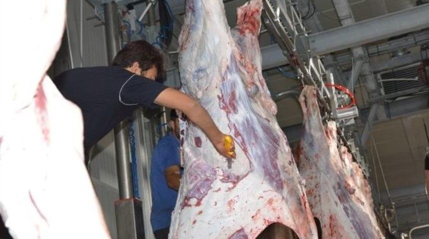 Melikgazi Belediyesi &lsquo;kurban Kesim Kursları&rsquo; Devam Ediyor