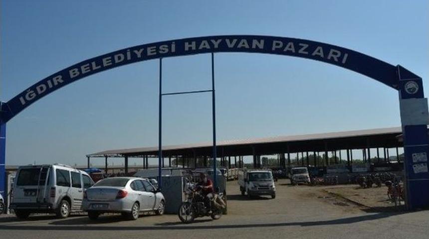 Iğdır&rsquo;da Kurbanlık Fiyatları Arttı