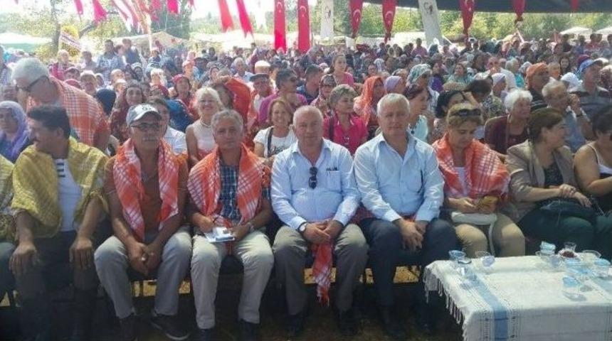 &Ouml;demiş&rsquo;te Barbunya Festivali