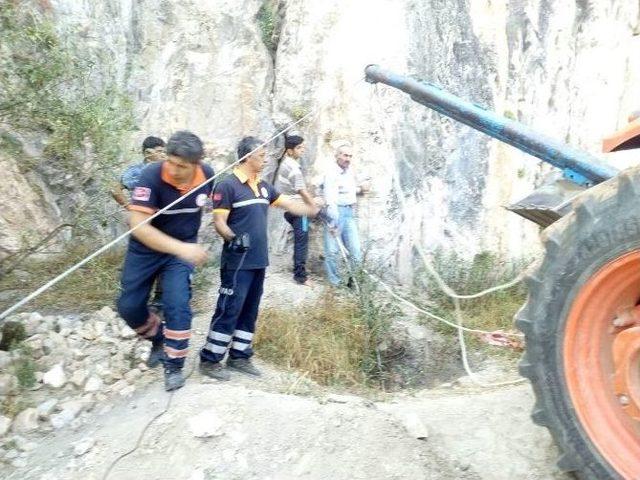 Definecilerin Kazdığı Kuyuya Düşen İnek Telef Oldu