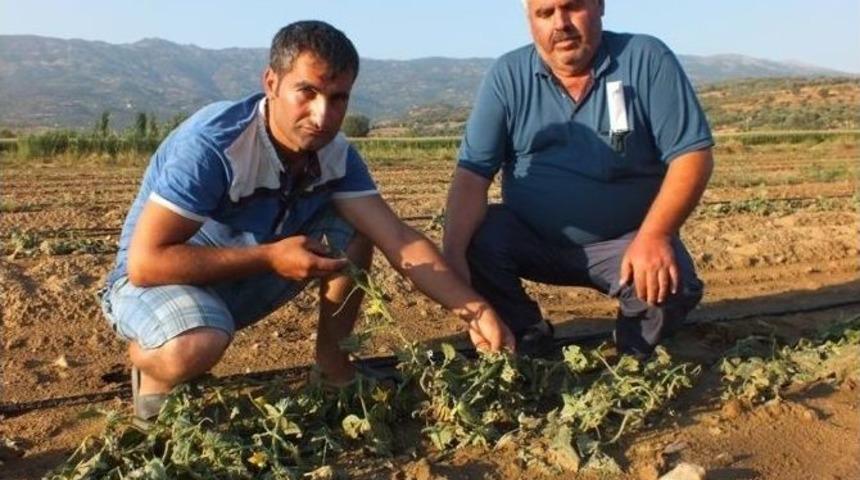 Kiraz&rsquo;da Dolu &Ccedil;ift&ccedil;iyi Vurdu