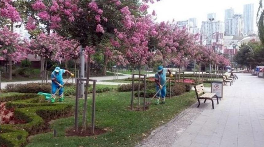 Yeşil Alanlarda Periyodik Bakım Devam Ediyor