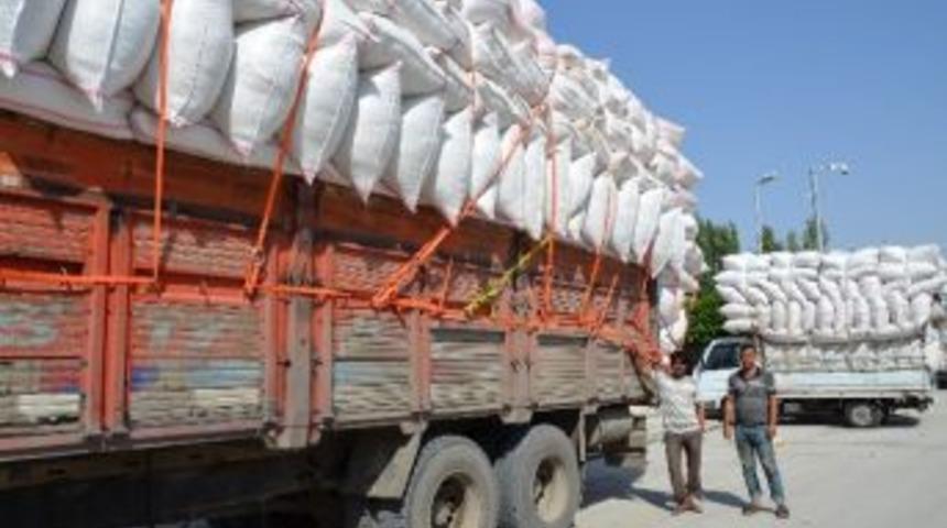 Saman Satıcıları Dertli