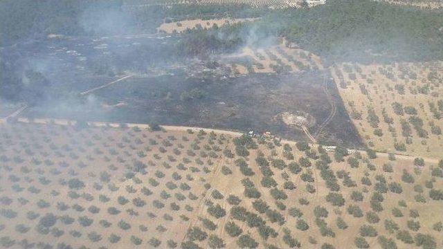 Çanakkale’de Orman Yangını