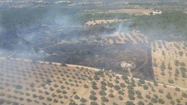 Çanakkale’de Orman Yangını